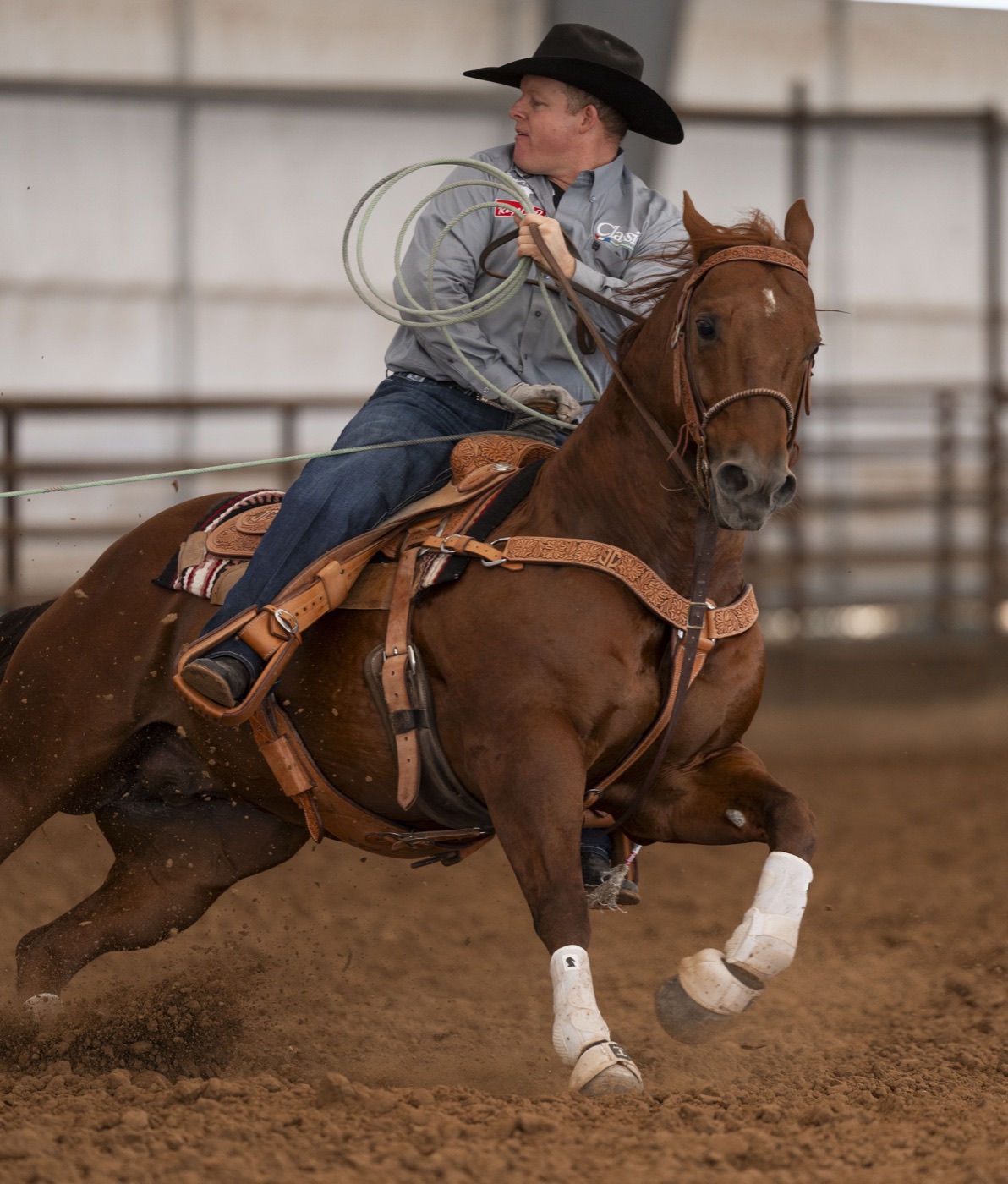 Reys Of Pep, AQHA rope horse stallion by Dual Rey, stopping hard in team roping competition